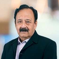 Mr V. Subramanian