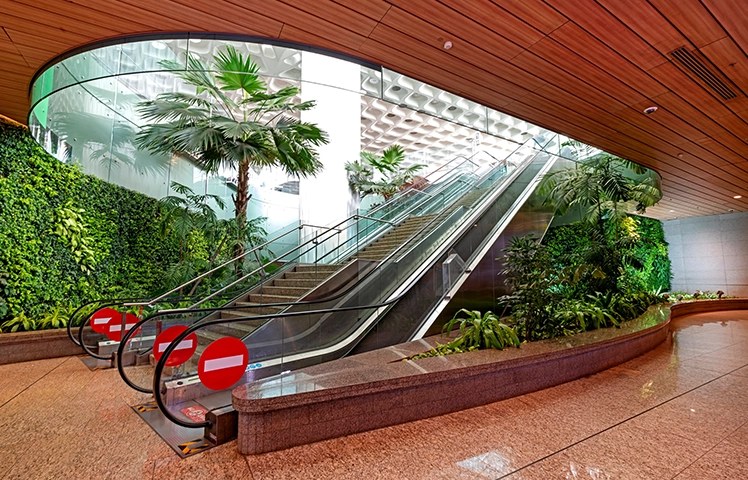 Indoor plantation at Mumbai Airport