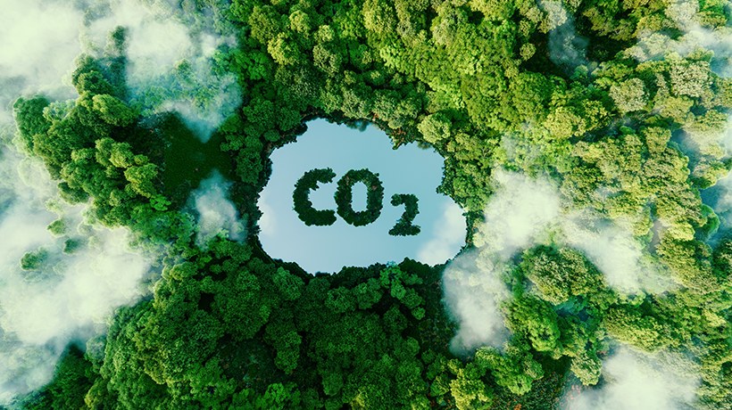 Climate Action