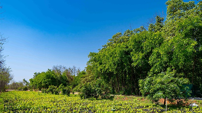 Nature and Biodiversity Stewardship