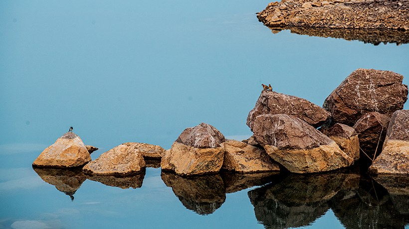 Water Stewardship