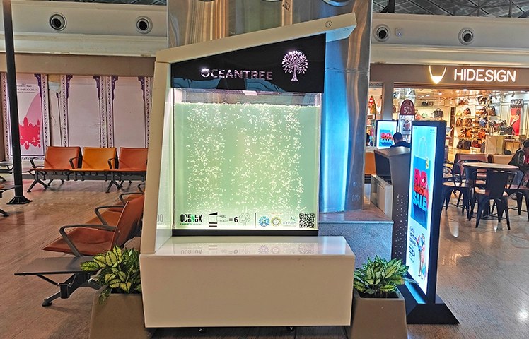 Liquid Tree air purification unit at Jaipur International Airport
